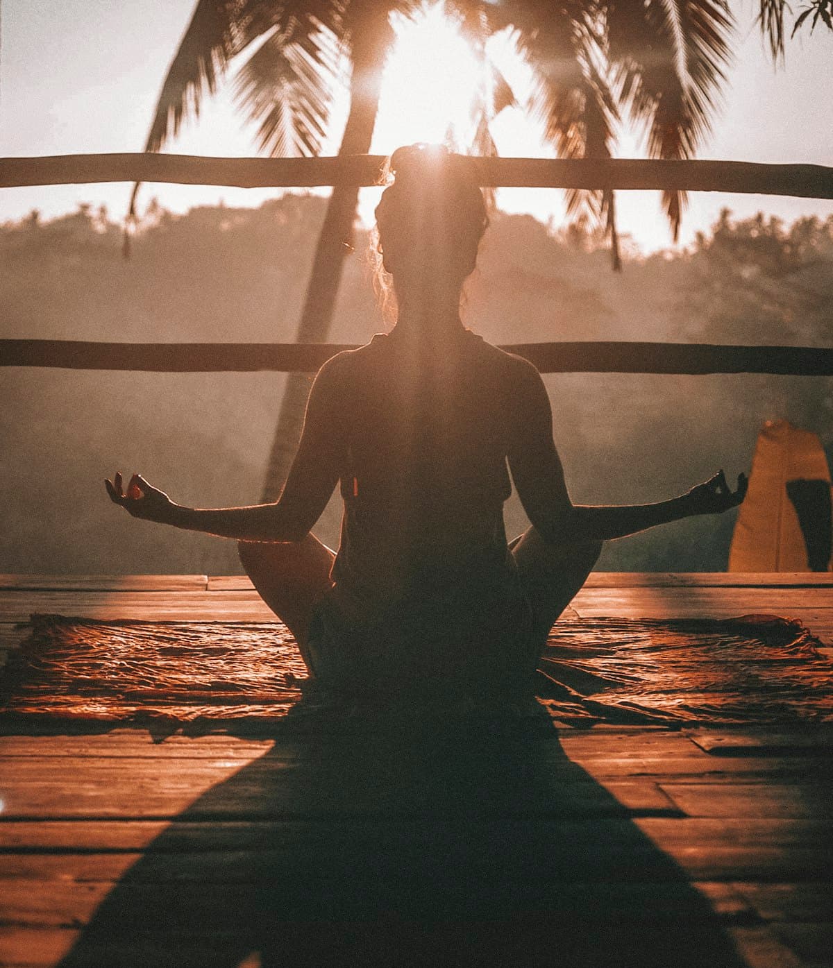 THE ART OF BALANCE